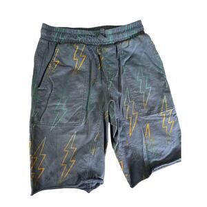 Tea Collection Blue Shorts size 14